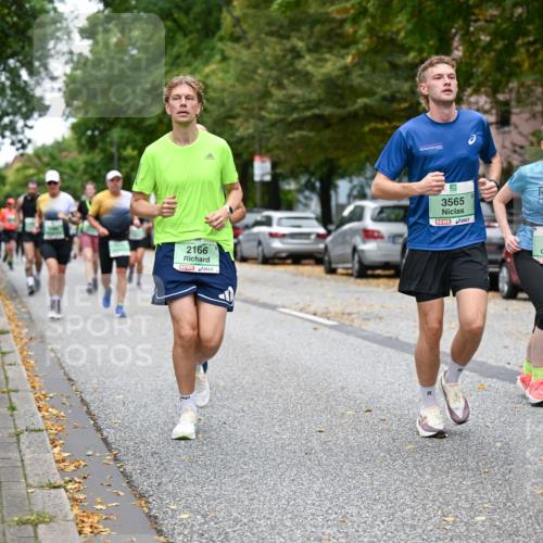 21.09.2025 - PSD Bank Halbmarathon Dr. Thomas Lammeyer http://msf.ph/oto/8930500 21.09.2025 10:50:01 Laufen 2166, 3565, 3145 meine-sportfotos.de