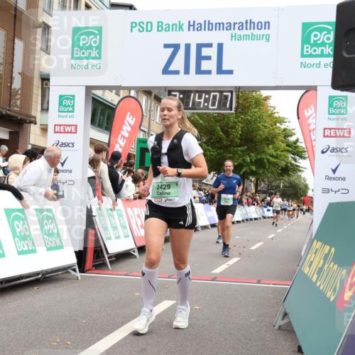 21.09.2025 - PSD Bank Halbmarathon Strokosch-Dieckow http://msf.ph/oto/8930701 21.09.2025 12:13:30 Ziel 2429, 2817, 2860, 3126, 3534, 3912 meine-sportfotos.de