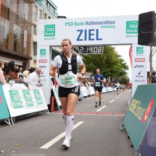 21.09.2025 - PSD Bank Halbmarathon Strokosch-Dieckow http://msf.ph/oto/8930706 21.09.2025 12:13:31 Ziel 2429, 2817, 2860, 3126, 3534, 3912 meine-sportfotos.de