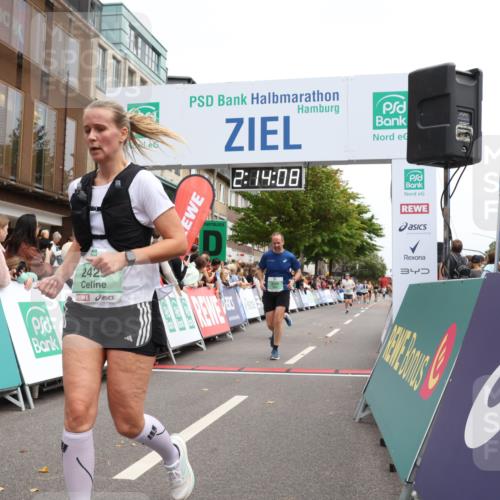 21.09.2025 - PSD Bank Halbmarathon Strokosch-Dieckow http://msf.ph/oto/8930712 21.09.2025 12:13:31 Ziel 2429, 2817, 2860, 3126, 3534, 3912 meine-sportfotos.de