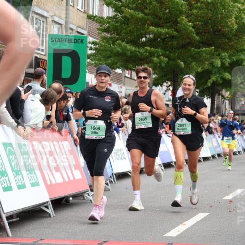 21.09.2025 - PSD Bank Halbmarathon Strokosch-Dieckow http://msf.ph/oto/8930975 21.09.2025 12:14:00 Ziel 1199, 1668, 1674, 2841, 2885, 3466, 3540 meine-sportfotos.de