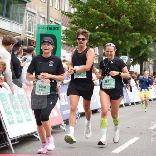 21.09.2025 - PSD Bank Halbmarathon Strokosch-Dieckow http://msf.ph/oto/8930982 21.09.2025 12:14:01 Ziel 1199, 1668, 1669, 1674, 2841, 2885, 3041, 3466, 3540, 3908 meine-sportfotos.de