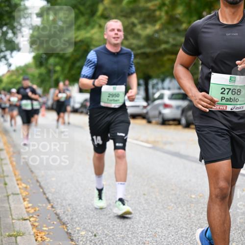 21.09.2025 - PSD Bank Halbmarathon Dr. Thomas Lammeyer http://msf.ph/oto/8931068 21.09.2025 10:50:34 Laufen 2950, 2768, 14 meine-sportfotos.de