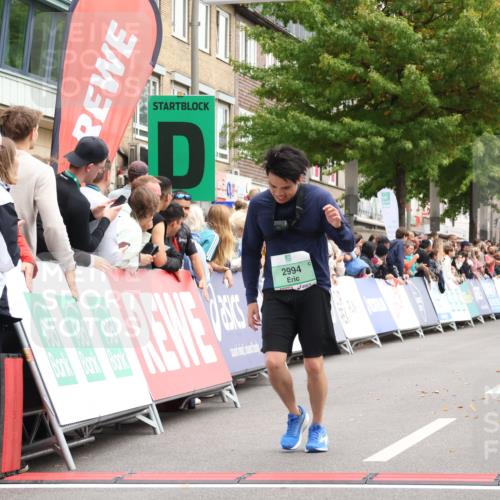 21.09.2025 - PSD Bank Halbmarathon Strokosch-Dieckow http://msf.ph/oto/8931076 21.09.2025 12:14:14 Ziel 2531, 2994, 3004, 3042 meine-sportfotos.de