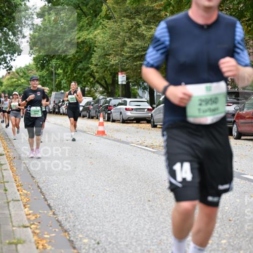 21.09.2025 - PSD Bank Halbmarathon Dr. Thomas Lammeyer http://msf.ph/oto/8931087 21.09.2025 10:50:35 Laufen 1668, 2950, 14, 34915 meine-sportfotos.de