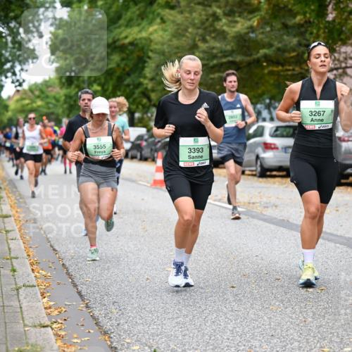 21.09.2025 - PSD Bank Halbmarathon Dr. Thomas Lammeyer http://msf.ph/oto/8931138 21.09.2025 10:50:40 Laufen 3555, 5, 3393, 2852, 3267 meine-sportfotos.de