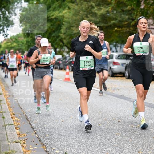 21.09.2025 - PSD Bank Halbmarathon Dr. Thomas Lammeyer http://msf.ph/oto/8931142 21.09.2025 10:50:40 Laufen 3555, 3393, 012, 3267 meine-sportfotos.de