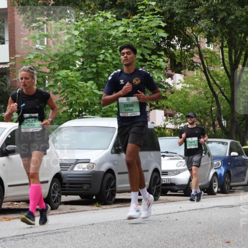 21.09.2025 - PSD Bank Halbmarathon Luisa Fischer http://msf.ph/oto/8931342 21.09.2025 11:56:00 Laufen 2396, 2623, 2896, 3418, 1673 meine-sportfotos.de