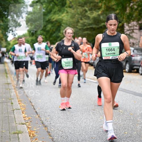 21.09.2025 - PSD Bank Halbmarathon Dr. Thomas Lammeyer http://msf.ph/oto/8932114 21.09.2025 10:51:34 Laufen 3022, 1664, 3986 meine-sportfotos.de
