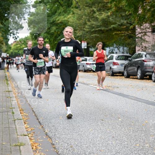 21.09.2025 - PSD Bank Halbmarathon Dr. Thomas Lammeyer http://msf.ph/oto/8932355 21.09.2025 10:52:00 Laufen 2846, 5, 2831, 4915 meine-sportfotos.de