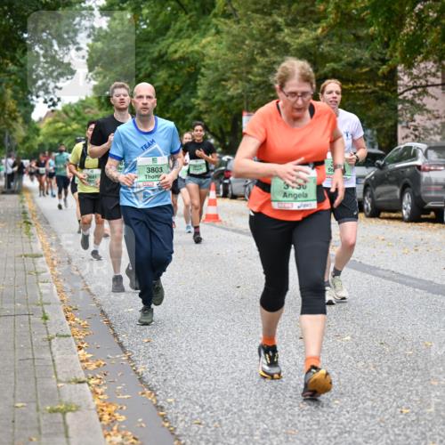 21.09.2025 - PSD Bank Halbmarathon Dr. Thomas Lammeyer http://msf.ph/oto/8932677 21.09.2025 10:52:45 Laufen 3229, 3803, 3736, 267 meine-sportfotos.de