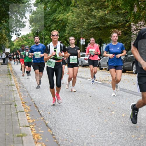 21.09.2025 - PSD Bank Halbmarathon Dr. Thomas Lammeyer http://msf.ph/oto/8933002 21.09.2025 10:53:33 Laufen 3486, 3433, 3136, 136, 3272 meine-sportfotos.de