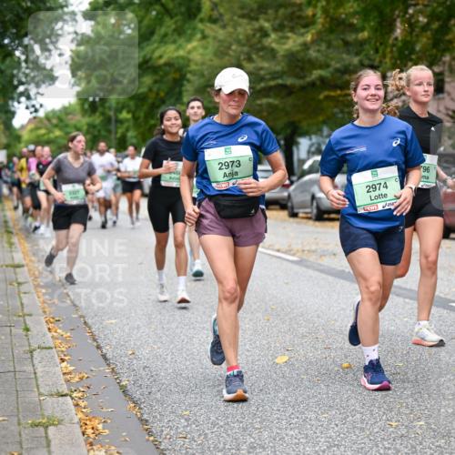 21.09.2025 - PSD Bank Halbmarathon Dr. Thomas Lammeyer http://msf.ph/oto/8933231 21.09.2025 10:54:04 Laufen 46, 2973, 796, 2974 meine-sportfotos.de