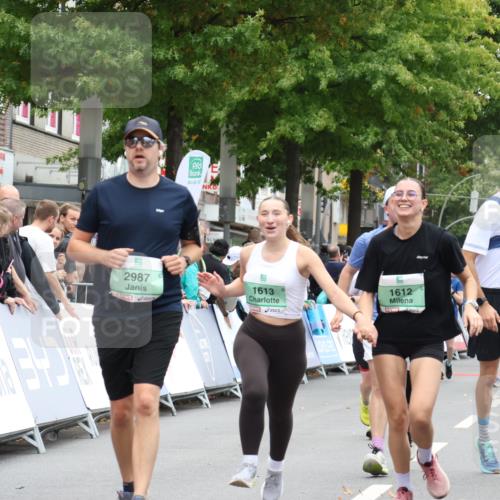 21.09.2025 - PSD Bank Halbmarathon Strokosch-Dieckow http://msf.ph/oto/8933453 21.09.2025 12:23:49 Ziel 1011, 1012, 1013, 1448, 1449, 1612, 1613, 2987, 3225, 3368, 3515 meine-sportfotos.de