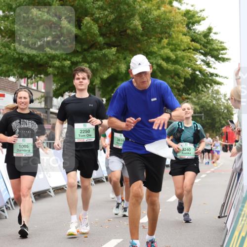 21.09.2025 - PSD Bank Halbmarathon Strokosch-Dieckow http://msf.ph/oto/8933518 21.09.2025 12:24:08 Ziel 1005, 1163, 1166, 2250, 2729, 2810, 3240, 3616 meine-sportfotos.de