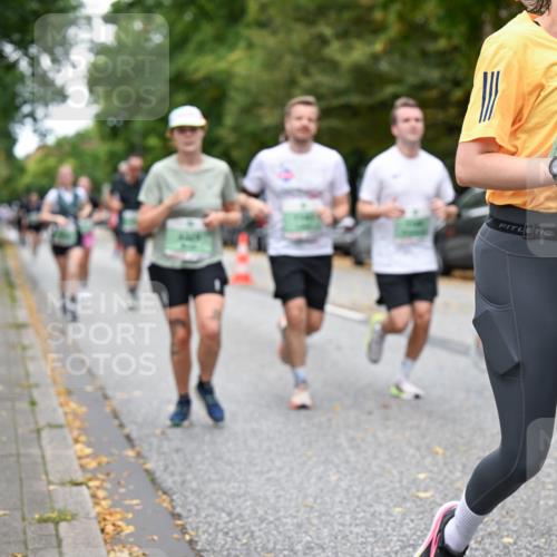 21.09.2025 - PSD Bank Halbmarathon Dr. Thomas Lammeyer http://msf.ph/oto/8933686 21.09.2025 10:54:49 Laufen 38 meine-sportfotos.de