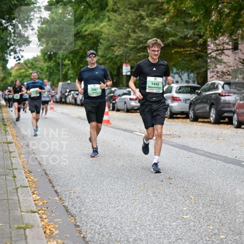 21.09.2025 - PSD Bank Halbmarathon Dr. Thomas Lammeyer http://msf.ph/oto/8933809 21.09.2025 10:55:09 Laufen 2987, 1442, 4915 meine-sportfotos.de
