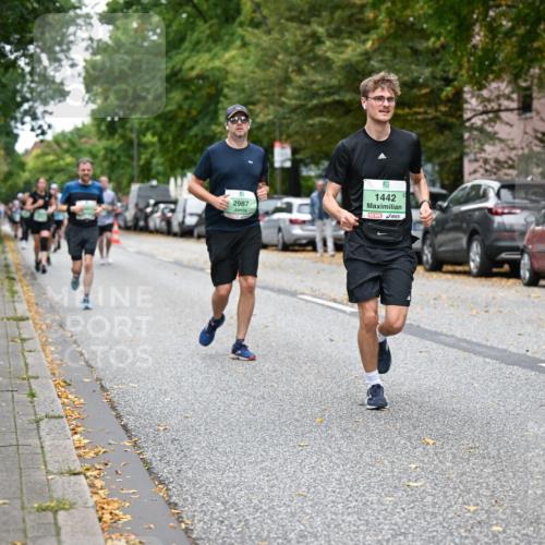 21.09.2025 - PSD Bank Halbmarathon Dr. Thomas Lammeyer http://msf.ph/oto/8933814 21.09.2025 10:55:09 Laufen 5, 2987, 1442, 0475 meine-sportfotos.de