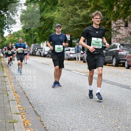 21.09.2025 - PSD Bank Halbmarathon Dr. Thomas Lammeyer http://msf.ph/oto/8933815 21.09.2025 10:55:09 Laufen 2987, 1442 meine-sportfotos.de