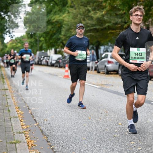 21.09.2025 - PSD Bank Halbmarathon Dr. Thomas Lammeyer http://msf.ph/oto/8933821 21.09.2025 10:55:10 Laufen 2987, 1442 meine-sportfotos.de