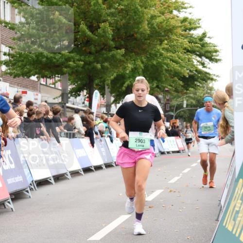21.09.2025 - PSD Bank Halbmarathon Strokosch-Dieckow http://msf.ph/oto/8933958 21.09.2025 12:26:42 Ziel 1681, 2900, 2903, 2950, 3276, 3514, 3686, 3813 meine-sportfotos.de