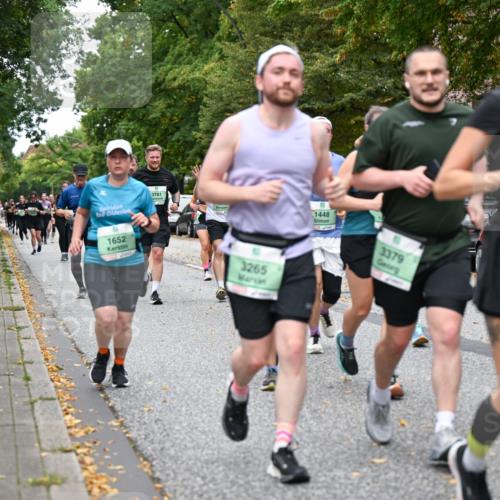 21.09.2025 - PSD Bank Halbmarathon Dr. Thomas Lammeyer http://msf.ph/oto/8933982 21.09.2025 10:55:33 Laufen 1652, 3781, 1448, 3265, 3379 meine-sportfotos.de