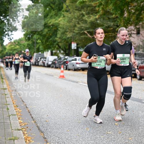 21.09.2025 - PSD Bank Halbmarathon Dr. Thomas Lammeyer http://msf.ph/oto/8934131 21.09.2025 10:55:50 Laufen 5, 538, 3491 meine-sportfotos.de