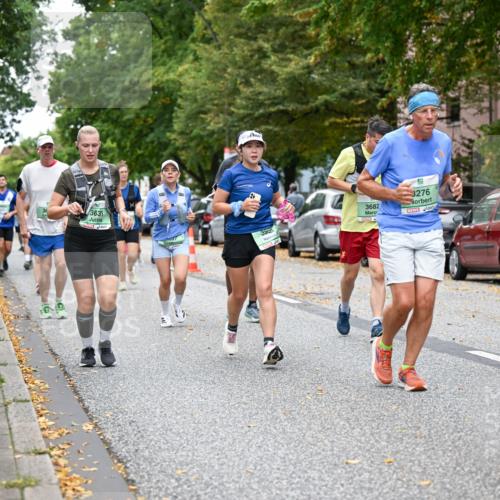 21.09.2025 - PSD Bank Halbmarathon Dr. Thomas Lammeyer http://msf.ph/oto/8934731 21.09.2025 10:57:05 Laufen 3631, 88, 399, 3682, 3276, 4915 meine-sportfotos.de