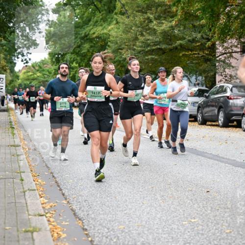 21.09.2025 - PSD Bank Halbmarathon Dr. Thomas Lammeyer http://msf.ph/oto/8935219 21.09.2025 10:58:09 Laufen 2773, 1417, 75, 3442, 3678, 77 meine-sportfotos.de