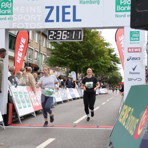 21.09.2025 - PSD Bank Halbmarathon Strokosch-Dieckow http://msf.ph/oto/8935365 21.09.2025 12:35:34 Ziel 1278, 2524, 3322, 3442, 3508 meine-sportfotos.de