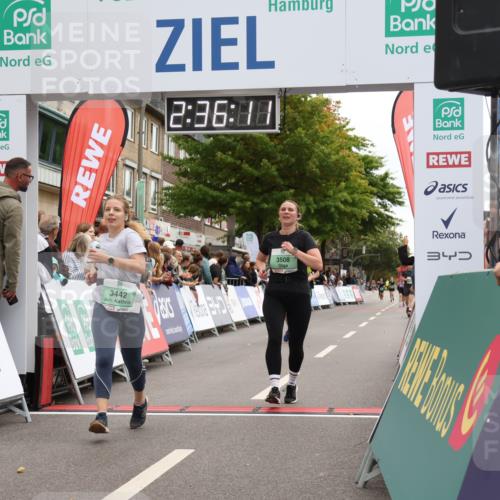 21.09.2025 - PSD Bank Halbmarathon Strokosch-Dieckow http://msf.ph/oto/8935368 21.09.2025 12:35:35 Ziel 1278, 2524, 3322, 3442, 3508 meine-sportfotos.de