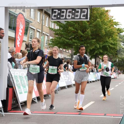 21.09.2025 - PSD Bank Halbmarathon Strokosch-Dieckow http://msf.ph/oto/8935440 21.09.2025 12:35:56 Ziel 3404, 3499, 3502, 3650, 3664 meine-sportfotos.de