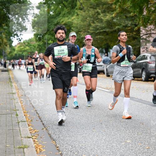 21.09.2025 - PSD Bank Halbmarathon Dr. Thomas Lammeyer http://msf.ph/oto/8935796 21.09.2025 10:59:40 Laufen 2206, 365, 3421, 3660, 37 meine-sportfotos.de