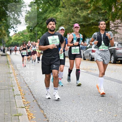 21.09.2025 - PSD Bank Halbmarathon Dr. Thomas Lammeyer http://msf.ph/oto/8935798 21.09.2025 10:59:40 Laufen 2206, 20, 365, 3421, 3660 meine-sportfotos.de