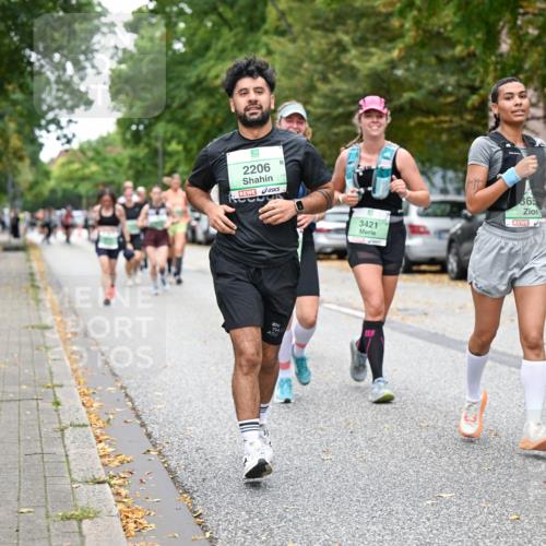 21.09.2025 - PSD Bank Halbmarathon Dr. Thomas Lammeyer http://msf.ph/oto/8935801 21.09.2025 10:59:40 Laufen 2206, 3660, 365, 3421 meine-sportfotos.de