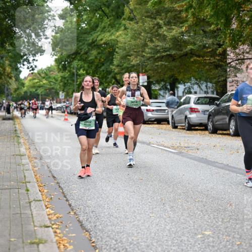 21.09.2025 - PSD Bank Halbmarathon Dr. Thomas Lammeyer http://msf.ph/oto/8935825 21.09.2025 10:59:45 Laufen 3802, 3401, 3614, 3818 meine-sportfotos.de
