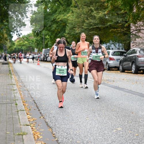 21.09.2025 - PSD Bank Halbmarathon Dr. Thomas Lammeyer http://msf.ph/oto/8935832 21.09.2025 10:59:45 Laufen 3802, 3250, 3614, 381 meine-sportfotos.de