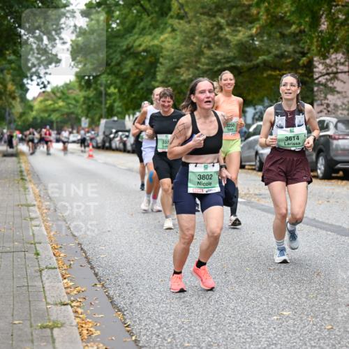 21.09.2025 - PSD Bank Halbmarathon Dr. Thomas Lammeyer http://msf.ph/oto/8935835 21.09.2025 10:59:46 Laufen 337, 3802, 3250, 3614 meine-sportfotos.de