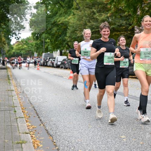 21.09.2025 - PSD Bank Halbmarathon Dr. Thomas Lammeyer http://msf.ph/oto/8935845 21.09.2025 10:59:48 Laufen 3821, 3865, 3370, 9, 3818, 3250 meine-sportfotos.de