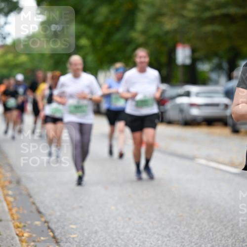 21.09.2025 - PSD Bank Halbmarathon Dr. Thomas Lammeyer http://msf.ph/oto/8935918 21.09.2025 11:00:11 Laufen 3615 meine-sportfotos.de