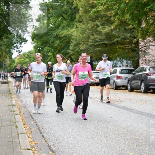 21.09.2025 - PSD Bank Halbmarathon Dr. Thomas Lammeyer http://msf.ph/oto/8936885 21.09.2025 11:03:50 Laufen 5, 1278, 1279, 3610, 1865 meine-sportfotos.de