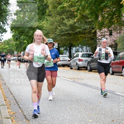 21.09.2025 - PSD Bank Halbmarathon Dr. Thomas Lammeyer http://msf.ph/oto/8936974 21.09.2025 11:04:08 Laufen 1381, 3850, 29, 3591, 4915 meine-sportfotos.de