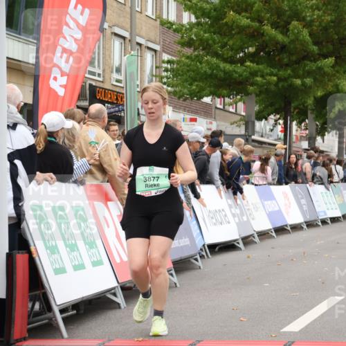 21.09.2025 - PSD Bank Halbmarathon Strokosch-Dieckow http://msf.ph/oto/8938221 21.09.2025 12:44:04 Ziel 3584, 3877 meine-sportfotos.de