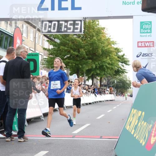 21.09.2025 - PSD Bank Halbmarathon Strokosch-Dieckow http://msf.ph/oto/8938791 21.09.2025 10:25:25 Ziel 310, 359, 378 meine-sportfotos.de