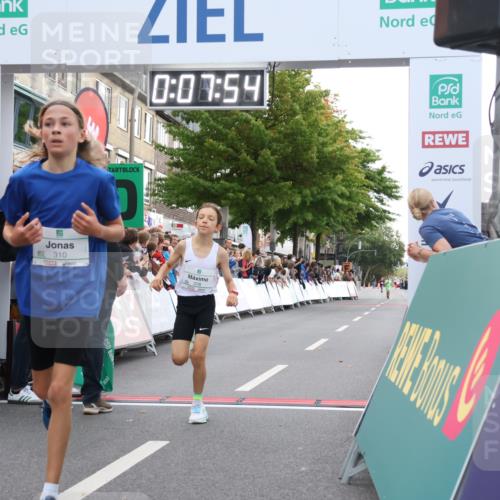 21.09.2025 - PSD Bank Halbmarathon Strokosch-Dieckow http://msf.ph/oto/8938794 21.09.2025 10:25:26 Ziel 310, 359, 378 meine-sportfotos.de