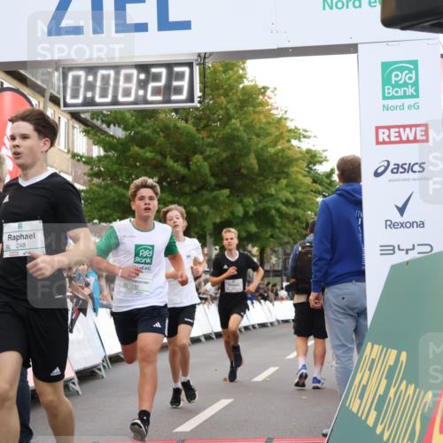 21.09.2025 - PSD Bank Halbmarathon Strokosch-Dieckow http://msf.ph/oto/8938810 21.09.2025 10:25:55 Ziel 118, 232, 248, 349 meine-sportfotos.de