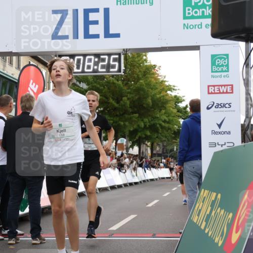 21.09.2025 - PSD Bank Halbmarathon Strokosch-Dieckow http://msf.ph/oto/8938814 21.09.2025 10:25:57 Ziel 118, 232, 248, 349 meine-sportfotos.de