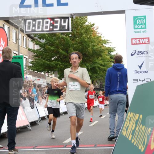 21.09.2025 - PSD Bank Halbmarathon Strokosch-Dieckow http://msf.ph/oto/8938827 21.09.2025 10:26:06 Ziel 112, 115, 162, 302, 421, 444, 450 meine-sportfotos.de