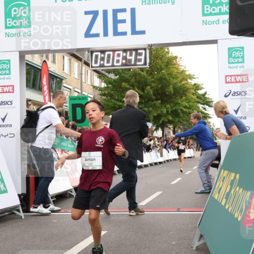 21.09.2025 - PSD Bank Halbmarathon Strokosch-Dieckow http://msf.ph/oto/8938835 21.09.2025 10:26:14 Ziel 106, 226, 302, 421, 450 meine-sportfotos.de