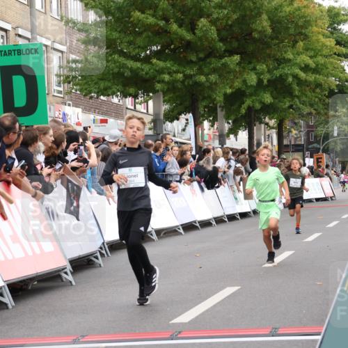 21.09.2025 - PSD Bank Halbmarathon Strokosch-Dieckow http://msf.ph/oto/8938842 21.09.2025 10:26:27 Ziel 120, 207, 211, 214, 314, 334, 384 meine-sportfotos.de